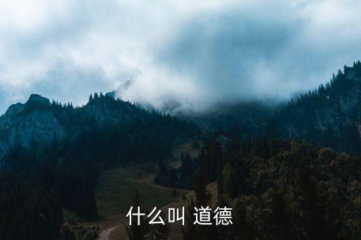 道德的定義,會(huì)計(jì)職業(yè)道德的定義