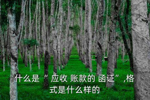 什么是“ 應(yīng)收 賬款的 函證”,格式是什么樣的
