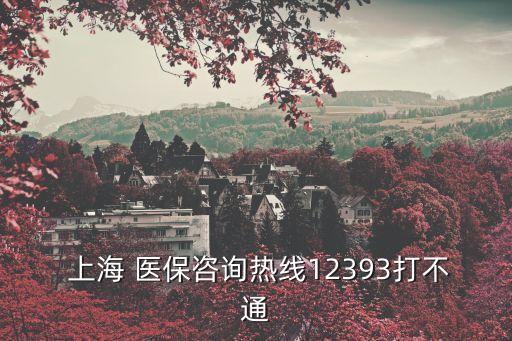  上海 醫(yī)保咨詢熱線12393打不通