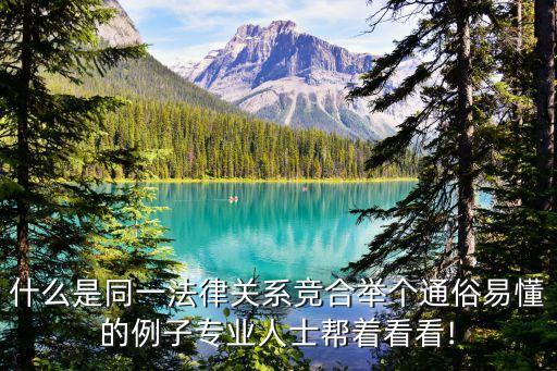 什么是同一法律關(guān)系競(jìng)合舉個(gè)通俗易懂的例子專業(yè)人士幫著看看!
