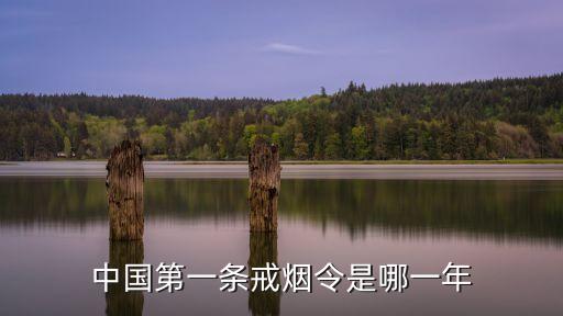 禁煙令