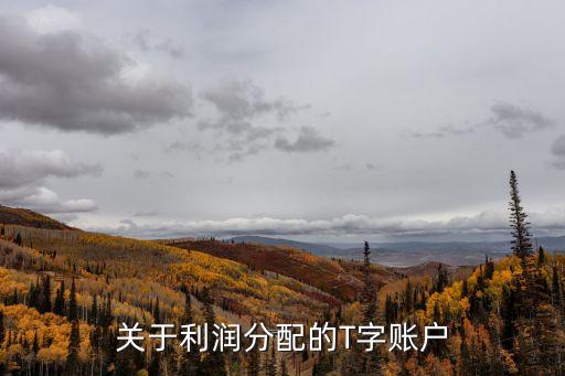 關(guān)于利潤分配的T字賬戶