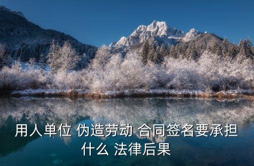 偽造合同法律有什么懲罰,領(lǐng)導(dǎo)讓偽造合同的法律后果