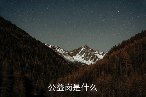 公益崗是什么