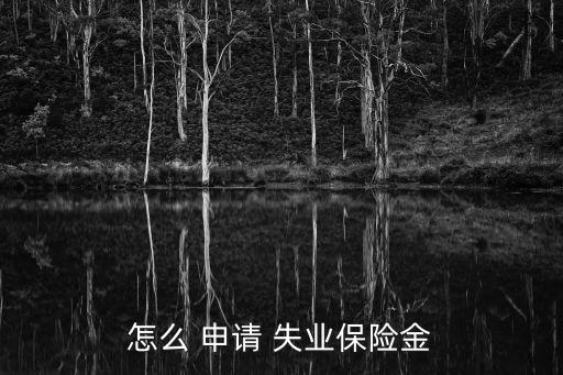 怎么 申請(qǐng) 失業(yè)保險(xiǎn)金