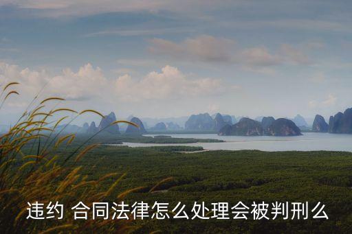 違約 合同法律怎么處理會(huì)被判刑么