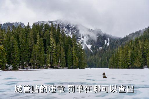 網(wǎng)上怎么查罰單,輸入車牌號直接查違章