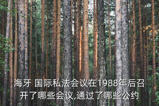 國際私法英文論文,關(guān)于國際私法的論文