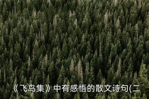 《飛鳥集》中有感悟的散文詩句(二