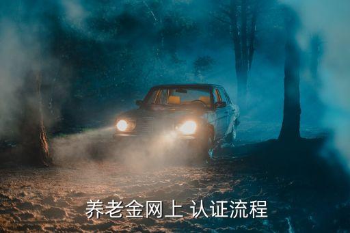 養(yǎng)老金認(rèn)證