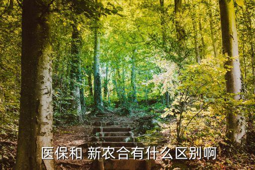  醫(yī)保和 新農(nóng)合有什么區(qū)別啊
