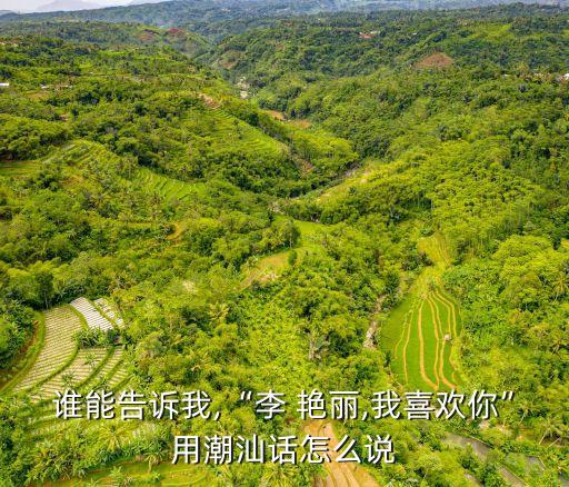 誰(shuí)能告訴我,“李 艷麗,我喜歡你”用潮汕話怎么說(shuō)