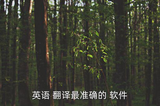 英語 翻譯最準確的 軟件