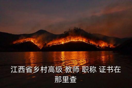 教師職稱證書查詢系統(tǒng)
