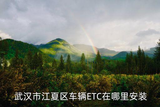  武漢市江夏區(qū)車輛ETC在哪里安裝
