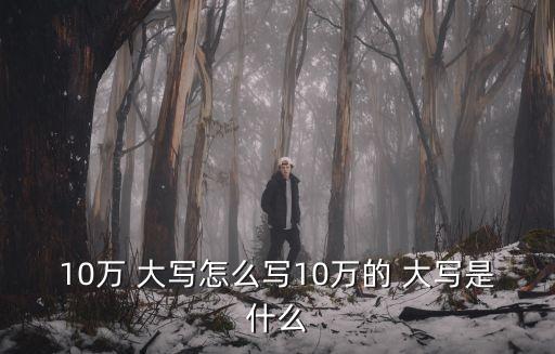 10萬 大寫怎么寫10萬的 大寫是什么