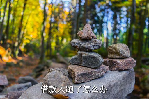 借款人跑了怎么辦