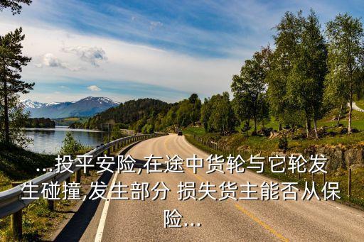 部分損失,國(guó)際經(jīng)濟(jì)法部分損失