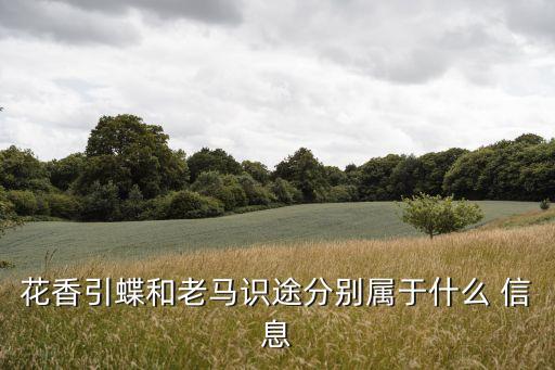 行為信息,什么是行為信息