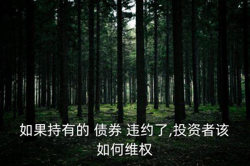 如果持有的 債券 違約了,投資者該如何維權(quán)