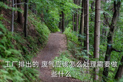 工廠排出的 廢氣應該怎么處理需要做些什么