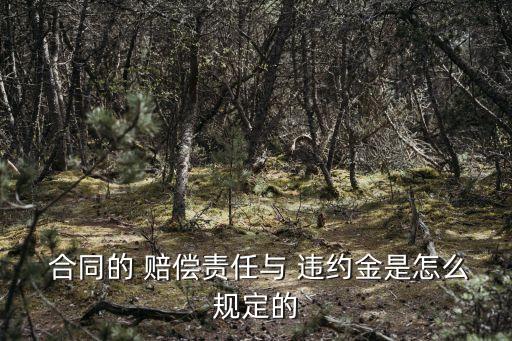  合同的 賠償責(zé)任與 違約金是怎么規(guī)定的
