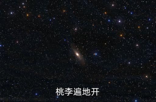 范海濤