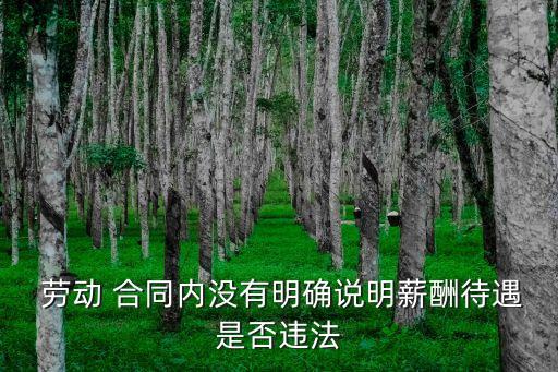 勞動(dòng)合同條款不明確