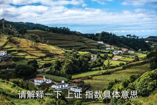 請解釋一下 上證 指數(shù)具體意思