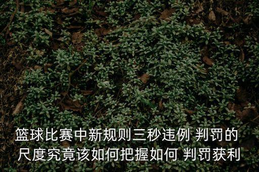 籃球比賽中新規(guī)則三秒違例 判罰的 尺度究竟該如何把握如何 判罰獲利