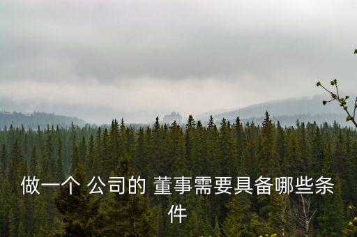 做一個 公司的 董事需要具備哪些條件