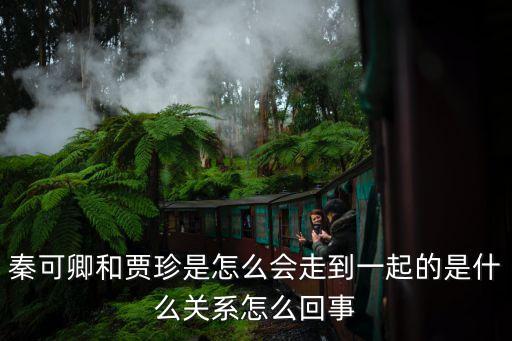 賈真