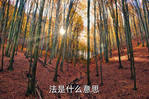 法是什么意思