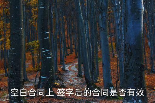 空白合同上 簽字后的合同是否有效