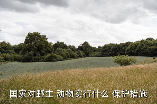動物保護(hù)