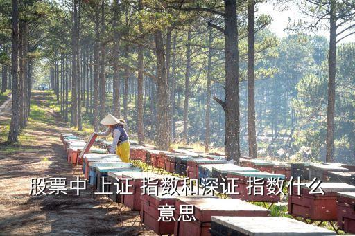上證指數(shù)是什么意思,深證成指是什么意思