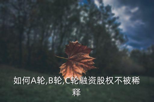 棘輪條款,完全棘輪條款