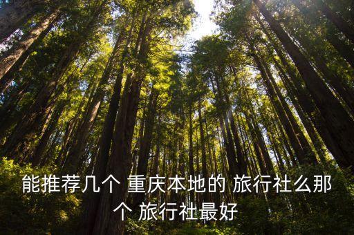 能推薦幾個 重慶本地的 旅行社么那個 旅行社最好