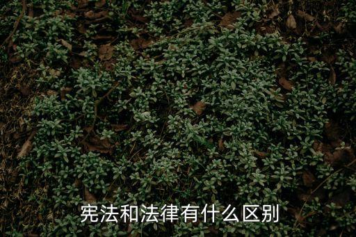  憲法和法律有什么區(qū)別