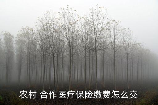 農(nóng)村 合作醫(yī)療保險(xiǎn)繳費(fèi)怎么交