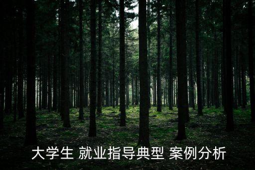  大學(xué)生 就業(yè)指導(dǎo)典型 案例分析