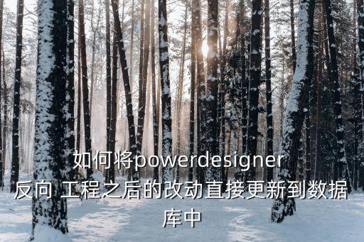 如何將powerdesigner 反向 工程之后的改動直接更新到數(shù)據(jù)庫中