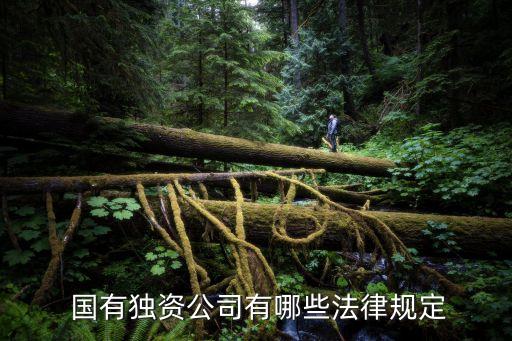  國有獨(dú)資公司有哪些法律規(guī)定