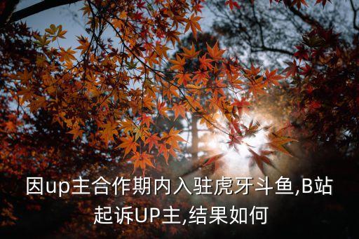 因up主合作期內(nèi)入駐虎牙斗魚,B站 起訴UP主,結(jié)果如何
