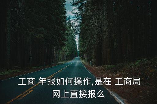 工商年報申報
