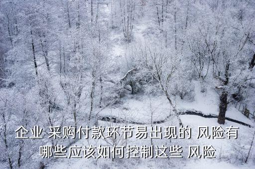 企業(yè) 采購付款環(huán)節(jié)易出現(xiàn)的 風險有哪些應該如何控制這些 風險