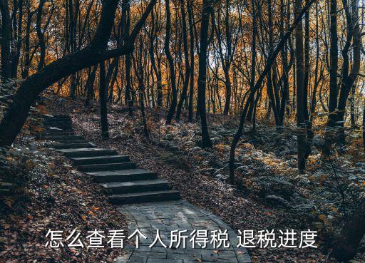 怎么查看個(gè)人所得稅 退稅進(jìn)度