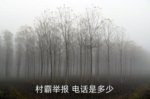 信訪辦投訴電話,奉賢區(qū)信訪辦投訴電話