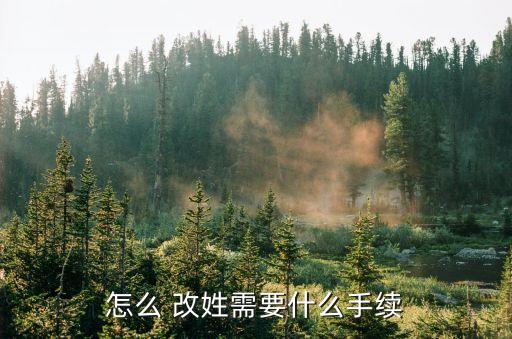 改姓