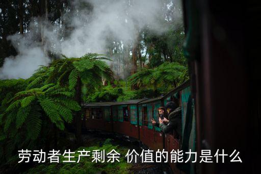 剩余勞動價值,剝削剩余勞動價值